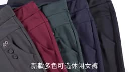 New Autumn Winter Women's Pants Add Velevt Mother Pants Elastic High Waist Casual Women Trousers Loose Straight Black Pants