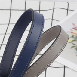 Genuine Leather Bag Strap Handbags Handles for Handbag Short Bag Strap Purse Strap Silver Gold Buckle Replacement Bag Belt Band