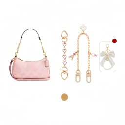 Bag Extension Chain For Teri Women Bag Fashion Durable Bag Decoration Chain Underarm Shoulder Strap Extension Bag Accessories
