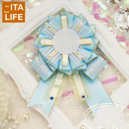 Italife Ita Bag Pins Anime Badge Holder for 58mm Pins Handmade Silk Metal Badge Decoration for Ita Bags Accessorie Classic H304