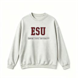 ESU Empire State University Hoodie Sweatshirt Brand New Day Merch Peter Hoodies Unisex Spring and Summer Long Sleeve