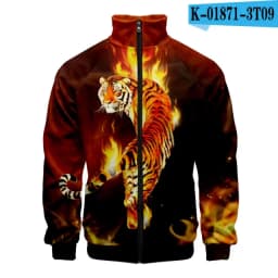 Coats Anime Dragon Cosplay Costume Hoodies 3D Printed Stand Collar Zipper Jacket Sportswear Sweatshirt