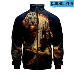 Coats Anime Dragon Cosplay Costume Hoodies 3D Printed Stand Collar Zipper Jacket Sportswear Sweatshirt