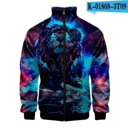 Coats Anime Dragon Cosplay Costume Hoodies 3D Printed Stand Collar Zipper Jacket Sportswear Sweatshirt