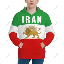 Unisex 3D Youth Hoodie Emblem Of Iran Lion And Sun Flag Of Iran Persia Kids Boys Girls Sweatshirt Pullover Hoodies Polyester