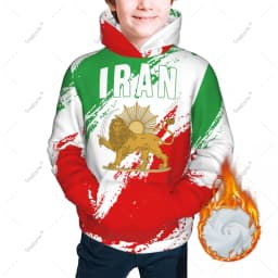 Unisex 3D Youth Hoodie Emblem Of Iran Lion And Sun Flag Of Iran Persia Kids Boys Girls Sweatshirt Pullover Hoodies Polyester
