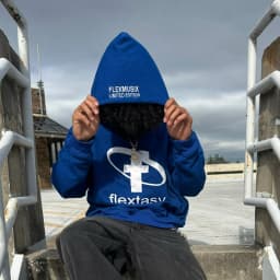 2000s Fashion Harajuku Hoodie Print Casual Gothic Klein Blue Streetwear Unisex New Trendy Hip Hop Sweatshirt Oversized Clothes