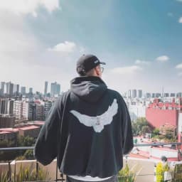 Dove Print Kanye Hoodie Men Women Streetwear 1:1 Sweatshirt High Quality Loose Double-Layer Heavy Fabric Pullover Ovesize hoodes