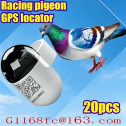 1-20pcs Professional and Accurate GPS Ring Speed Data Analysis Function, Used for Daily Training Locator of Racing Pigeons