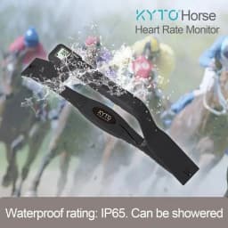 Horse Heart Rate Sensor Monitor Rapid measurement with Backlight LCD Water Proof High accuracy KYTO2596