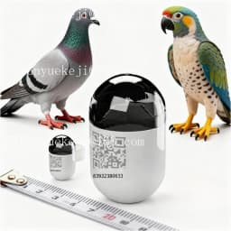 Waterproof mini real-time pigeonGps Hot Sale Electronic Bird locator Gps Pigeon locator Foot Ring for Pigeon Racing Training