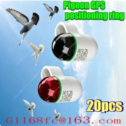 Pigeon GPS Device with Speed Analysis Waterproof Real-time Positioning Ring, Used for Competitions and Training