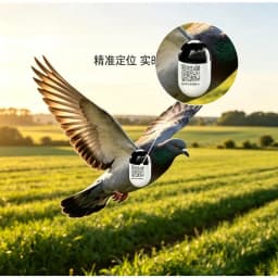 Pigeon GPS Locator for Outdoor Flying-- New Waterproof Mini Real Time Pigeon GPS Locator with 4G Network