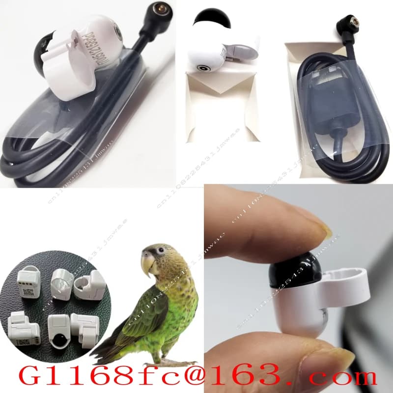 Real Time Global System Locator for Pigeon Outdoor Flight Leg Straps and Circular Positioning