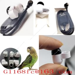 Real Time Global System Locator for Pigeon Outdoor Flight Leg Straps and Circular Positioning