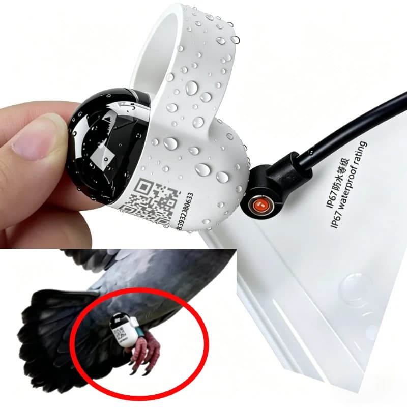 1-10pcs Real Time Global System Locator for Pigeon Outdoor Flight Leg Straps and Circular Positioning
