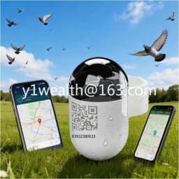 Real-Time GPS Locator for Pigeons and Loros Outdoor Flight Locator Leg Bands and Ring Pigeon Piogeon Bird Positioning