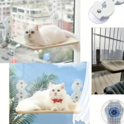 M8 Screw Transparent Rubber Suction Cup Sucker Turn Nut Hooks for Glass Table Tops Storage Tool Wall Picture Hanging Hook
