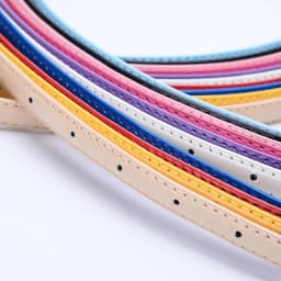 Women's Candy Color PU Leather Belt Bright Color Decorative Fine Leather Waist Belt Wholesale