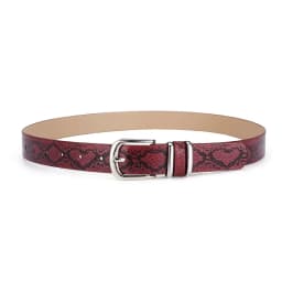 2.8x106cm Fashion Leopard Belt Women Snake Print Waistband PU Leather Pin Buckle Belts for Ladies Female