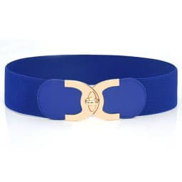 Wide Elastic Belts for Women Stretch Ladies Waist Belt with Fashion Gold Buckle, Vintage Classic Plus Size Belts for Women
