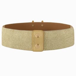 2026 New Ladies Pearl Fashionable Golden Wide Waist Seal Dress Decoration Waist Elastic Belts for Women Luxury Designer Brand