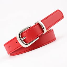 Women's Belts Jeans Pants Dress Girls Fashion PU Leather European Style Luxury Alloy Gold/Silver Buckle Waistband Belts for Lady