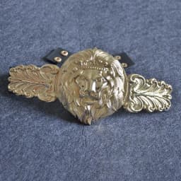 Golden Lion Head Women Girdle Metal Round Buckle Exaggeration Belt for Women's Black Waistband Gold Elastic Waist Seal