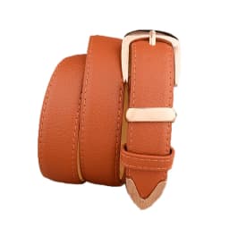 Alloy Buckle Women Belts PU Leather Wild Female Waist Belts Brown Black White Red Girls Pants Jeans Fashion Belt pasek damski