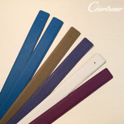 2026 WITHOUT BUCKLE Ciartuar for men women 3.2cm 19 colors belt high quality cowskin genuine leather two sides