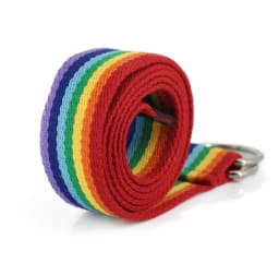 Fashion Long Waist Belt for Women Lady Pretty Canvas Trendy Rainbow Colors Thin Skinny Waist Belt Dress Accessory Clothes Gift