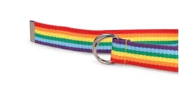 Fashion Long Waist Belt for Women Lady Pretty Canvas Trendy Rainbow Colors Thin Skinny Waist Belt Dress Accessory Clothes Gift