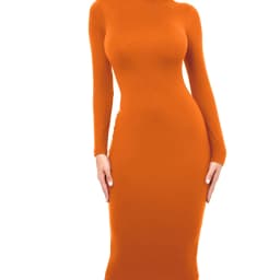 Winter Black Turtleneck Sexy Women Dress Autumn Long Sleeve Skinny Midi Boydcon Casual Blue Plush Knee-Length Party Club