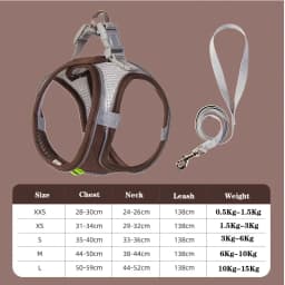 Adjustable Puppy Cat Harness Vest Dog Harness Leash Set for Small Dogs French Bulldog Chihuahua Pug Outdoor Walking Lead Leash