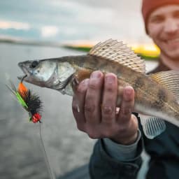 Bass Fly Fishing Lures 10pcs 3D Trout Fly Assortment Dry Topwater Fishing Lures Animated Saltwater Fishing Fly Kit For Bass