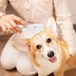 Nail Grinder For Cats Cordless Low Noise Pet Shaver Lightweight Multipurpose Grooming Set Pet Nail Grinder For Small Medium Dogs