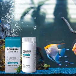 100pcs 6-in-1 Water Quality Test Strips Kit PH Nitrate Nitrite Chlorine General Hardness For Pool Pond Aquarium Tap Fish Tank