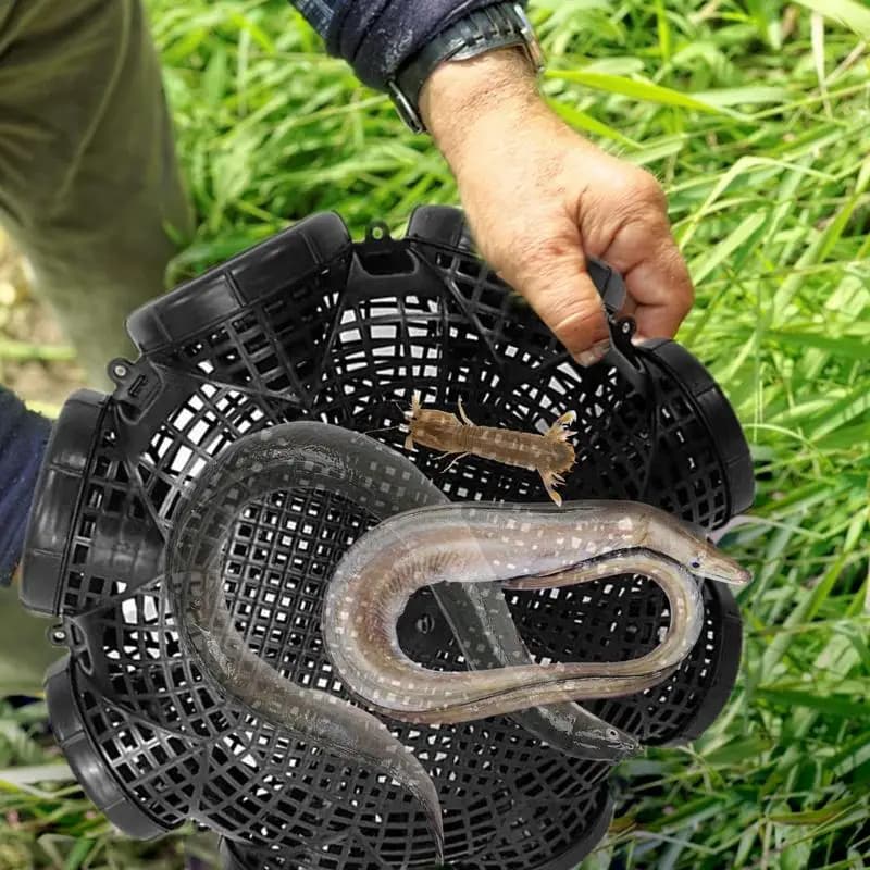 Fishing Bait Trap Portable Catch Fish Trap Cage Fishing Accessories With Dense Vents For Catching Lobster Crayfish Crabs Herring