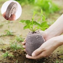 Plant Starting Pellets Soil Block Compressed Soil Pellets 50pcs Plant Starter Pods Compact Plant Pods Bulk for Starting Plant
