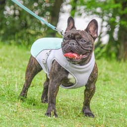 Dog Cooling Vest Summer Three-Layer Vest Dog Cooler Cooling Clothing Pet Dogs Health Supplies For Exercise Mountaineering Hiking