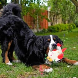 Automatic Smart Teasing Dog Ball Interactive Washable Cartoon Plush Sound Electronic Dog Toy Active Moving Pet Plush Toy For