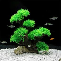 Fish Tank Plant Moss Tree Decorations Landscaping Wood Plant Root Driftwood Aquatic Plants Grass Aquarium Accessories No Moss