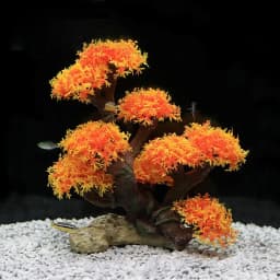 Fish Tank Plant Moss Tree Decorations Landscaping Wood Plant Root Driftwood Aquatic Plants Grass Aquarium Accessories No Moss
