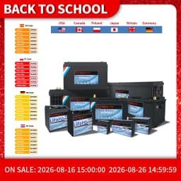 LiFePO4 Lithium Iron Phosphate Battery with BMS, 12V, 24V, 36V, 48V, 100Ah, 120Ah, 200Ah, for Golf Cart, EV, RV, Solar Energy