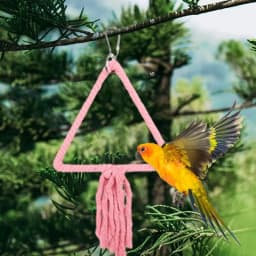 Bird Swings For Parakeets Parakeet Perch Toys Chewing Bird Perch Stand Colorful Accessories Strong Grip For Budgerigar Parakeet