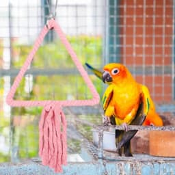 Bird Swings For Parakeets Parakeet Perch Toys Chewing Bird Perch Stand Colorful Accessories Strong Grip For Budgerigar Parakeet