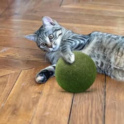 Large Catnip Balls Healthy 10cm Cat Mint Ball Lickable Natural Catnip Toys Self Relieving For Cat Kitten Indoor Outdoor Playing