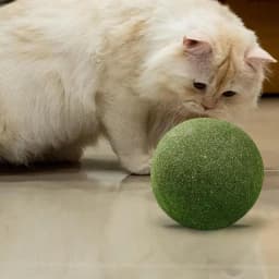 Large Catnip Balls Healthy 10cm Cat Mint Ball Lickable Natural Catnip Toys Self Relieving For Cat Kitten Indoor Outdoor Playing