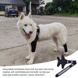 Front Leg Brace For Dogs Dog Hip Joint Care Support Brace Dog Canine Front Leg Brace For Torn ACL Dog Canine Knee Stifle Brace