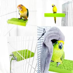 Bird Heater For Cage Thermo Perch Parrot Heater Bird Warmer Stand Platform Snuggle Up Bird Warmer Automatic Bird Platform Heater